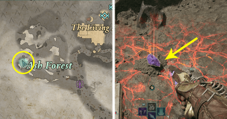 Avowed - Ash Forest in Galawain