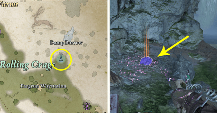 Avowed - Damp Burrow in Emerald Stair