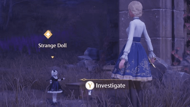 Investigate the Strange Doll