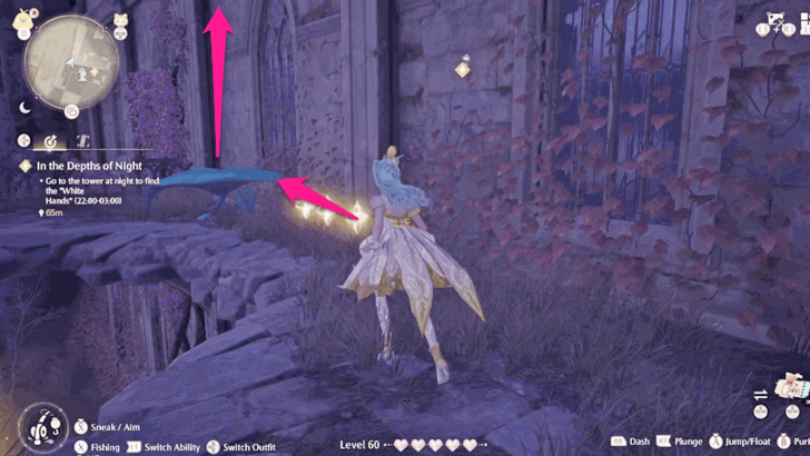 How to Climb Castle (2)