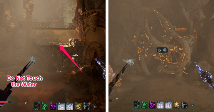 Avowed - Avoid the Water