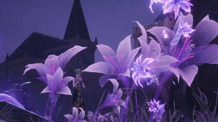 Take a Photo of the Illusiblooms