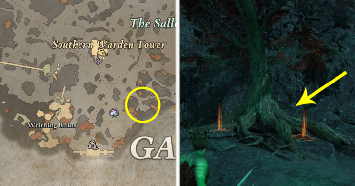 Avowed - Anti-Mycotic Moss Location