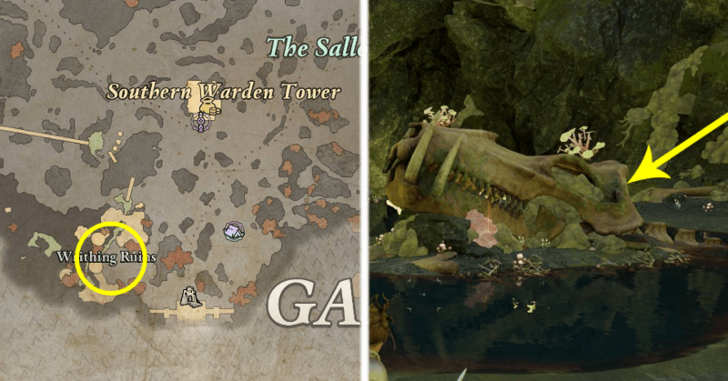 Avowed - Calcified Beetle Nest Nodule Location