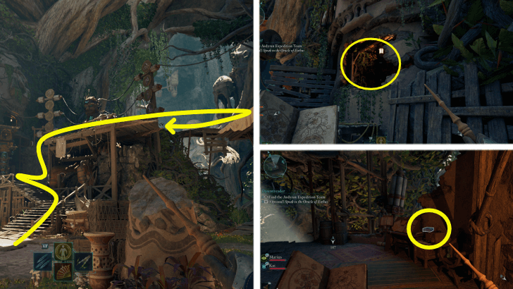 Avowed - History of the Living Lands II