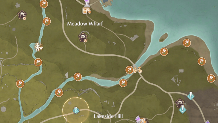 Sunny Orchid Locations