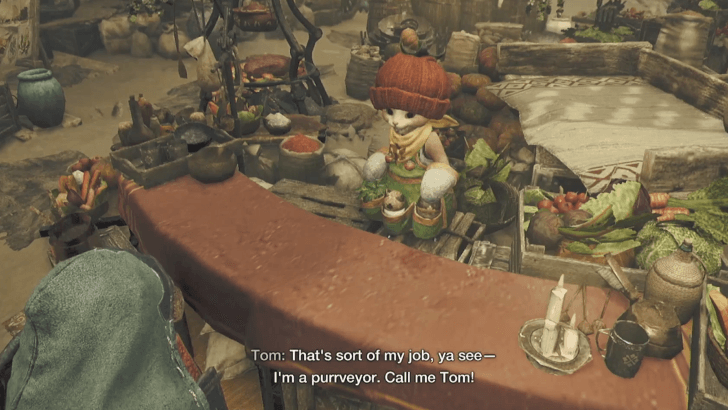 Monster Hunter Wilds - Head towards the SOS Flare 4