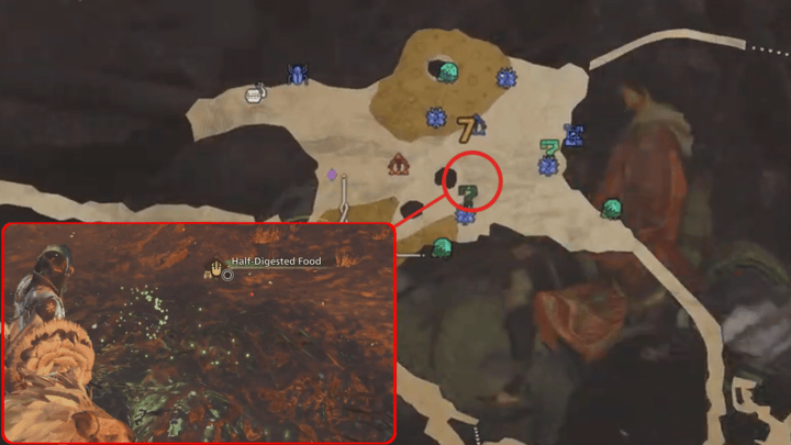 Monster Hunter Wilds - Half Digested Food.png