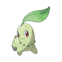 Chikorita