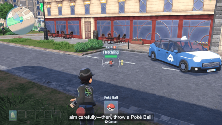 Catching a Wild Pokemon