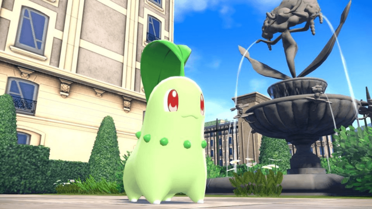 Chikorita, iniciador de césped