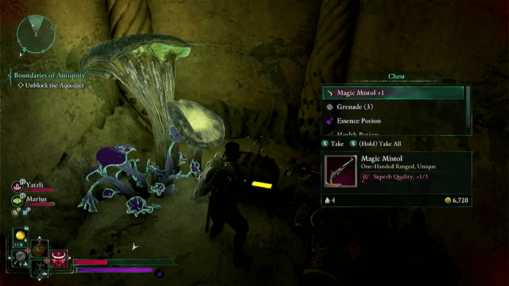 Avowed - Magic Mistol