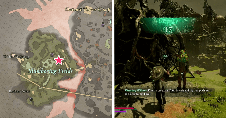 Avowed - Weeping Willow