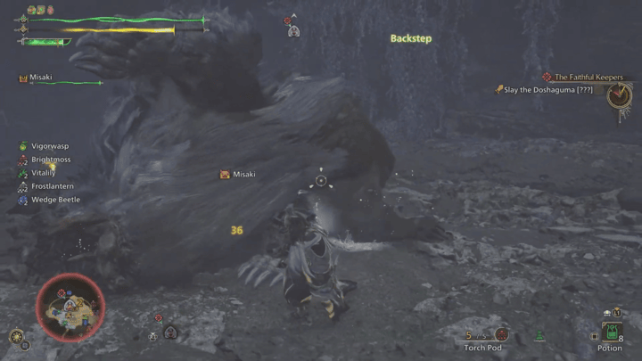 Monster Hunter Wilds - Defeat it Before it Regenerates