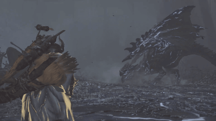 Monster Hunter Wilds - Battling Rathalos