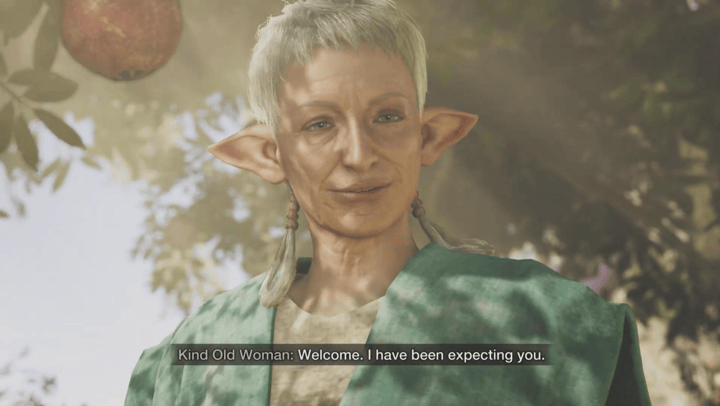 Monster Hunter Wilds - Through the Dusk