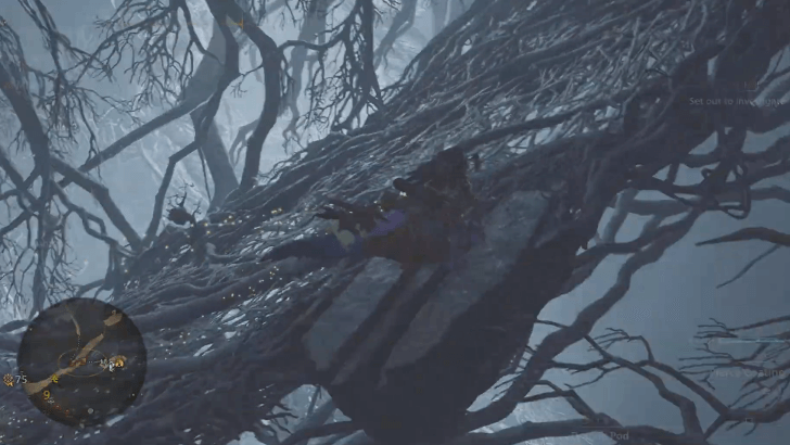 Monster Hunter Wilds - Set out to Investigate