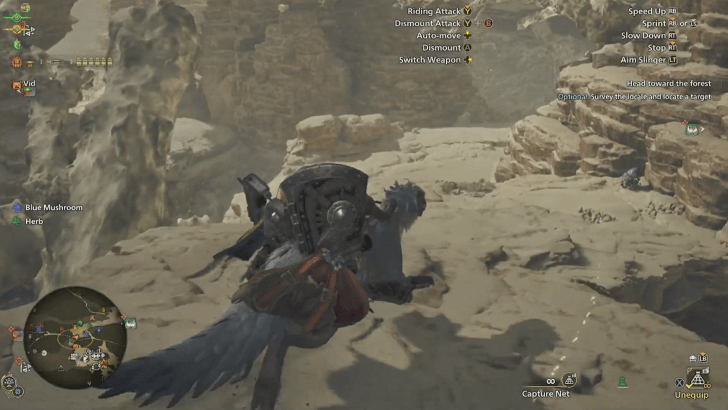 Monster Hunter Wilds - Head Toward the Forest