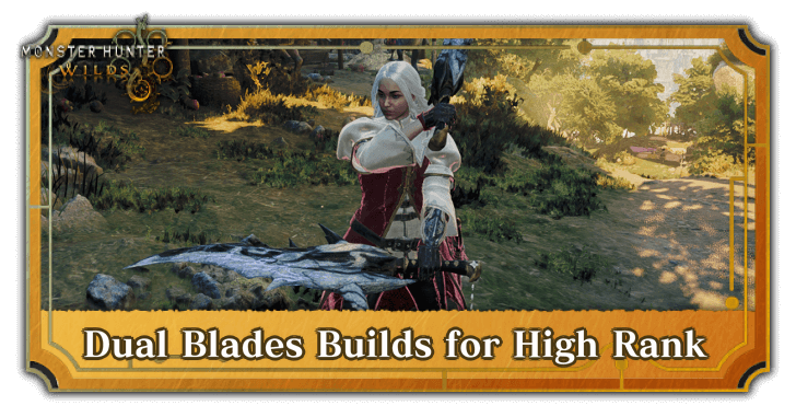 Dual Blades Builds for High Rank