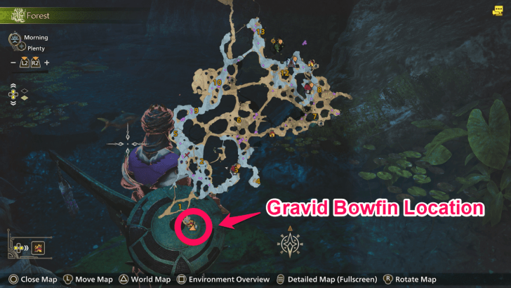 Gravid Bowfin Location