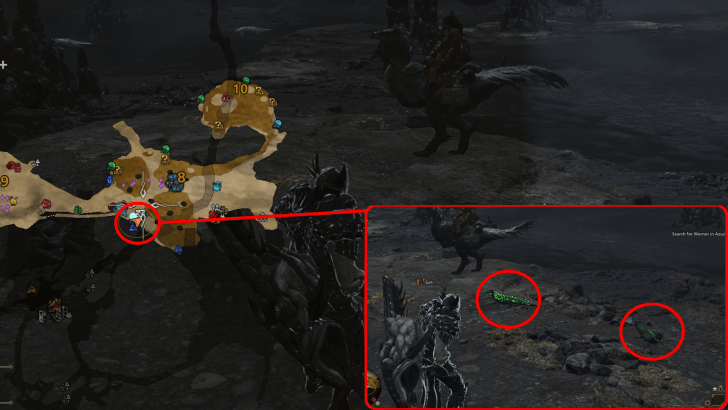 Monster Hunter (MH) Wilds - Ember Rufflizard Map Overview