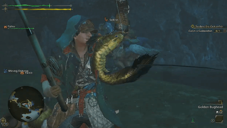 Using Golden Bughead