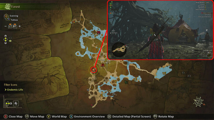 Monster Hunter Wilds - Area 7: Bower of the Great Tree