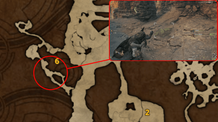 Curioshell Crab Map Location Area 6