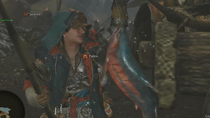 Monster Hunter Wilds - Catch A Fish