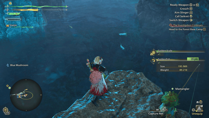 Gold Scale and Platinum Scale