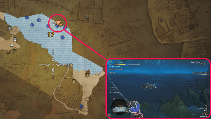 Goliath Squid Location