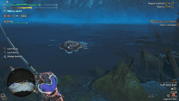 Catching a Goliath Squid