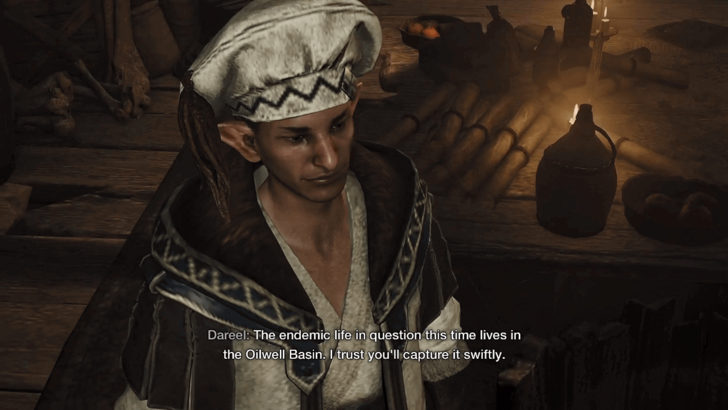 Monster Hunter Wilds - Dareel