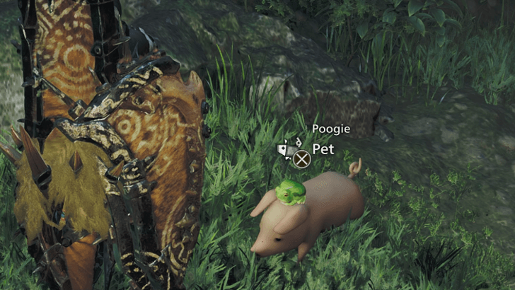 Rename Poogie.png
