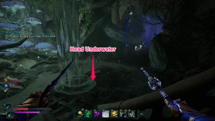 Avowed - Head Underwater in Naku Tedek