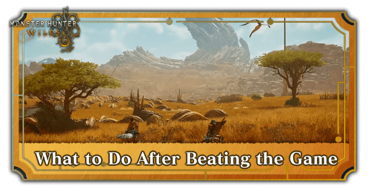 What to do After Beating the Game