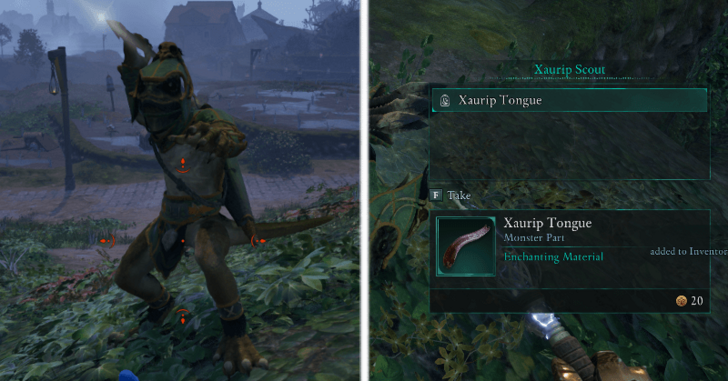 Avowed - Xaurip Tongue Enemy Drop.png