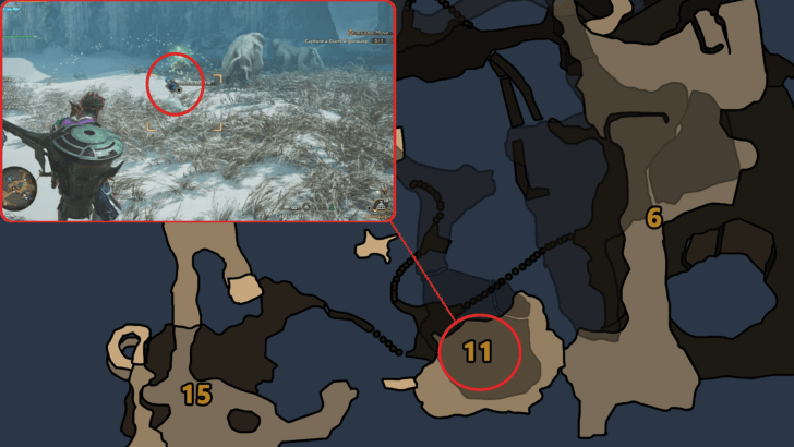 Monster Hunter (MH) Wilds - Rime Beetle Map Overview