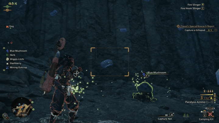 MH Wilds - Catch the Gillopod