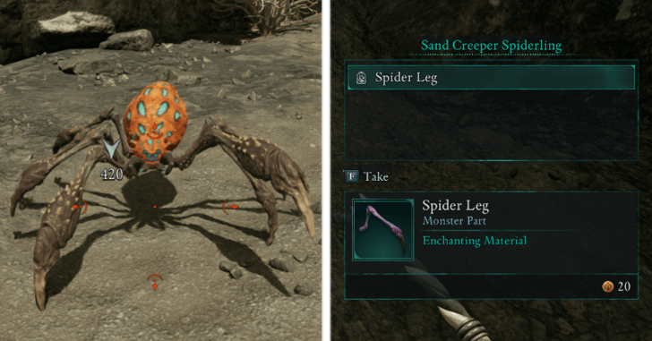 Avowed - Spider Leg Enemy Drop.png