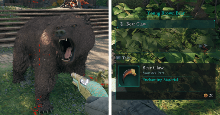 Avowed - Bear Claw Enemy Drop.png