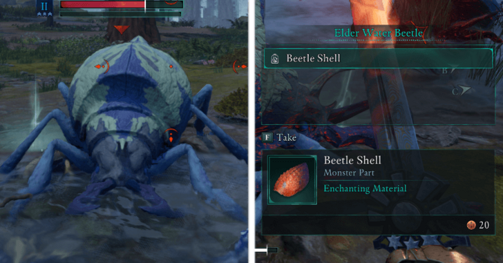 Avowed - Beetle Shell Enemy Drop.png