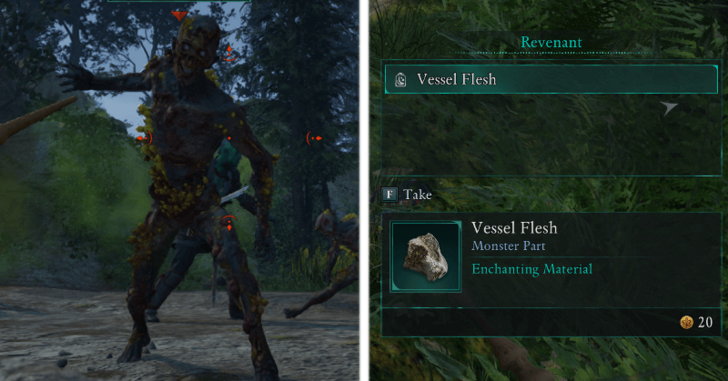 Avowed - Vessel Flesh Enemy Drop.png