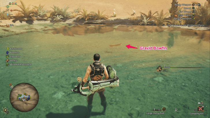 Look for an Orange Fish in Fishing Spots