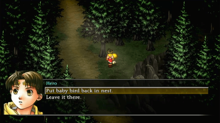 Suikoden 2 - Fallen Baby Bird