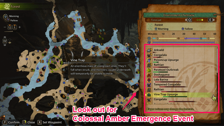 Environmental Forecast SF Colossal Amber