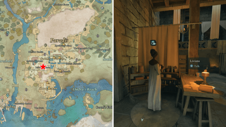 Avowed -  Clinic Extras