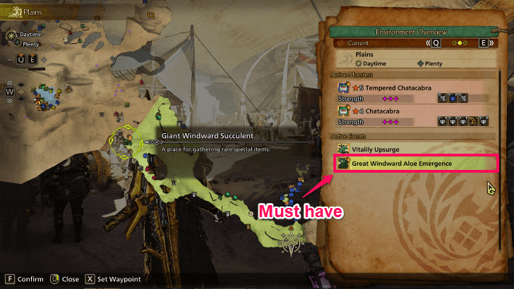 Great Windward Aloe Active Event