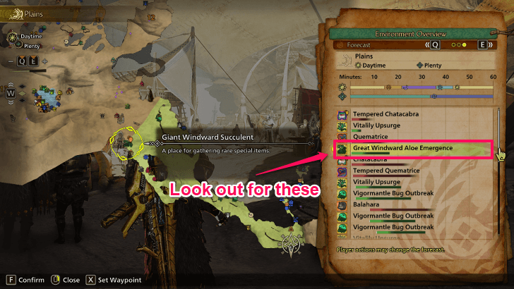 Great Windward Aloe Forecast