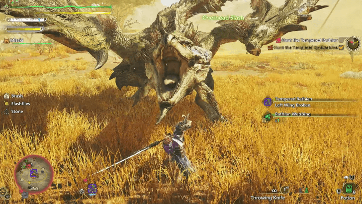 Monster Hunter Wilds - Defeat the Quematrice and the Rathian